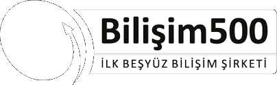Bilisim 500